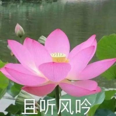 山东检察机关依法对刘立宪涉嫌受贿案提起公诉